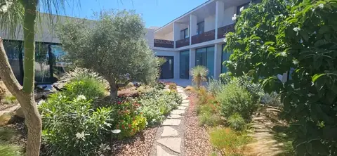 A flagstone path winding between planted beds and a tree, with a modern building behind