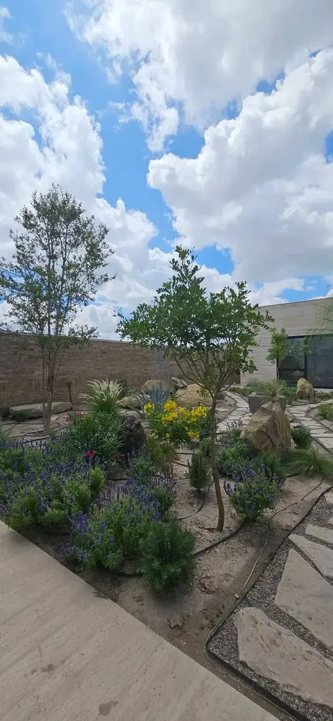 A stone path edging a bed of purple flowers and shrubs under a cloudy blue sky