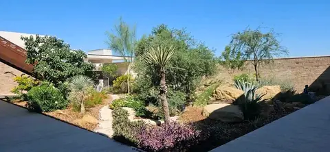Wide view of a courtyard garden with palms, trees and boulders beside a dark paved walkway