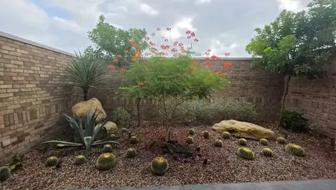 Round cacti, agave and boulders in a gravel bed along a tan brick wall
