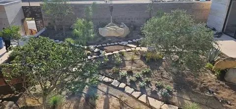 Stone-edged beds with young plants, a tree and a large boulder at the back