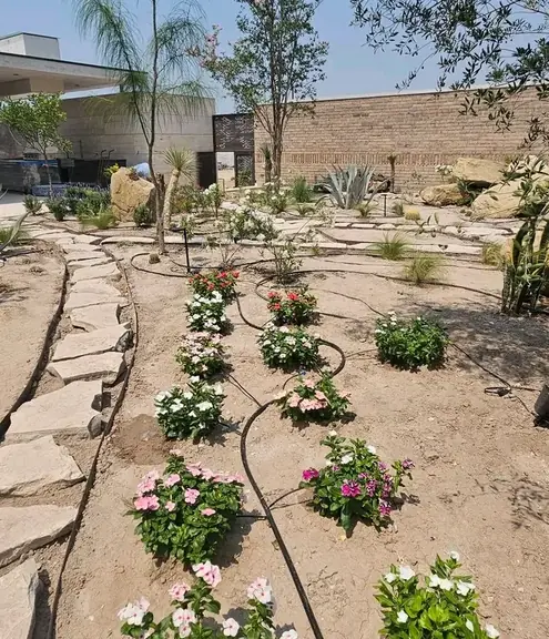 Newly planted flowers beside a flagstone edge with drip tubing